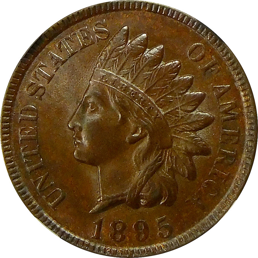 1895 Indian Head Cent - NGC MS 65 Brown