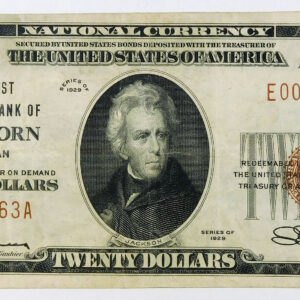 1929 Ty 1 $20 First National Bank of Dearborn, Michigan - CH# 12989