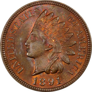 1891 Indian Head Cent - MS 63 Brown